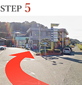 STEP