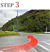 STEP